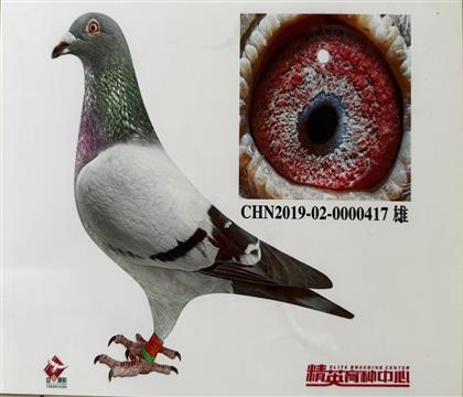 ŷ�����������ж�ֱ�ӣ�ȫ��צ���Ӵ�̩�¾���251��