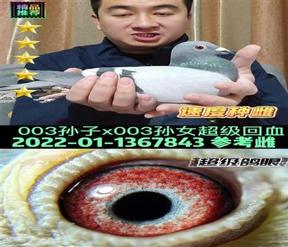 ����003��������Ů���Ӵ�����400����276��������664