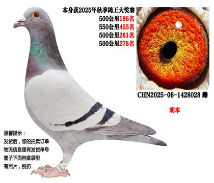 25���＾4��500����ɼ��루������