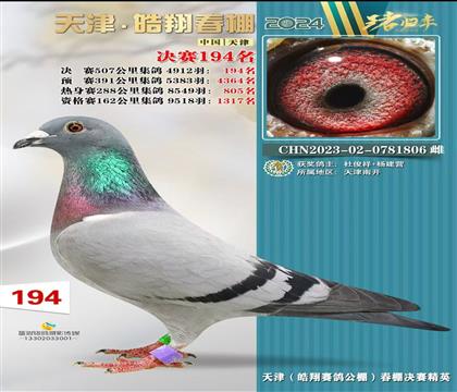 ���������194��