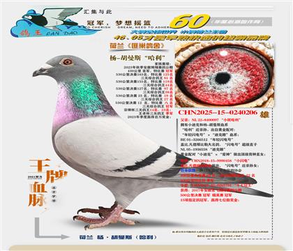 ��С������