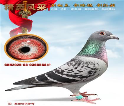 ʯ����ɣ��ʿ��ȫ����ǧ���＾��