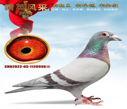 ȫ����ս����塢ͬ������ǧ���＾��