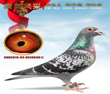 ʯ����ɣ��ʿ��������ԭ��