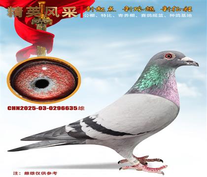 ʯ����ɣ��ʿ356��032ֱ�ӡ�55555