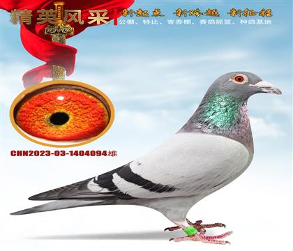 �Ǳ�4545ֱ����4545ֱŮ