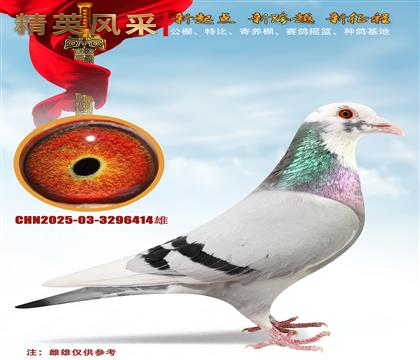 �������ǲ���