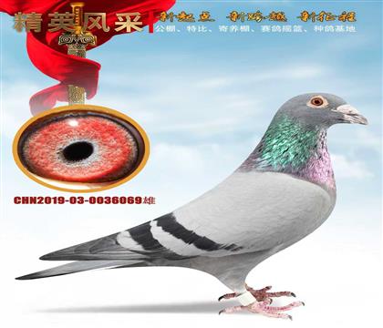 ʯ����ɣ��ʿ292ֱ��