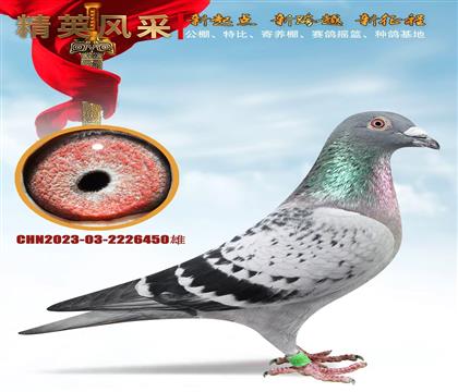 ǧ����塢�ص��Ƽ�