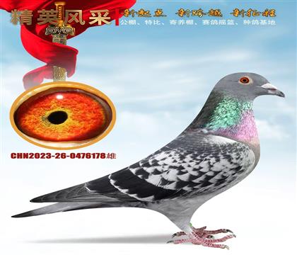 ǧ����塢����ר��