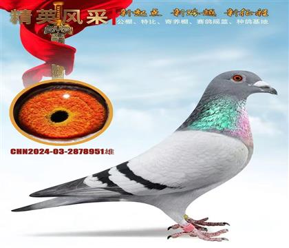 ǧ����塢����ר��