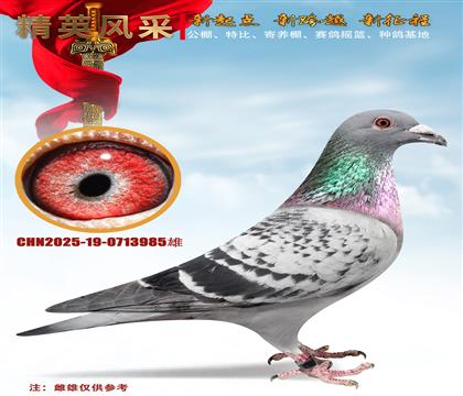 ���ƶ������ض�006