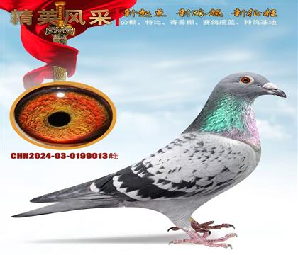 ǧ����塢����ר��