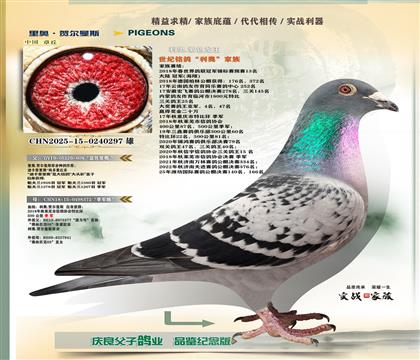 ��ɫ����