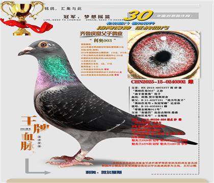 ���ء����¡�