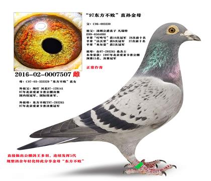 �Ͻ�ĸ��97��������ֱ��X����������ֱŮ��