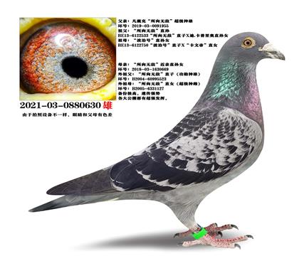 �Ƽ����Ͽˡ������ˡ������޵С����ؽ����ָ�