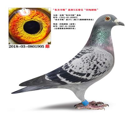 ���������ܡ�ֱ��Xʯ���������罿�ޡ�ɣ��ʿ