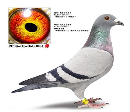 ī�ƶ���ֱ��X������ȫƽ��