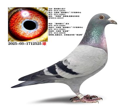 �Ƽ�����ʱ��911ֱ��X��ʱ��911ֱŮ