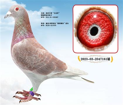 �����������һƽ��ֱ��X������ֱŮ