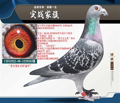 ������ ��������ʤ����