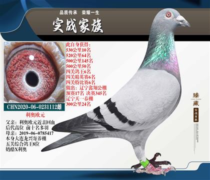 ���¡�ŷԪ������6��