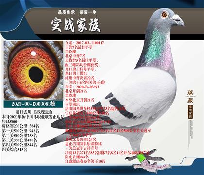 ������녴�����õ���Ѫ��������