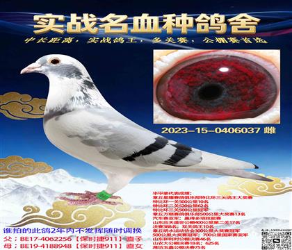 ���ױ�ʱ��911