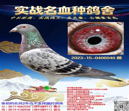 ������ʱ��911