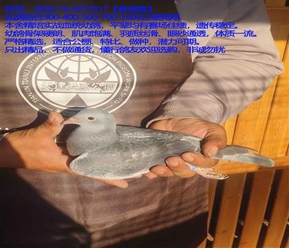 ����Ծ��