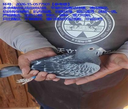 ȫ���뾫Ʒ�׸�