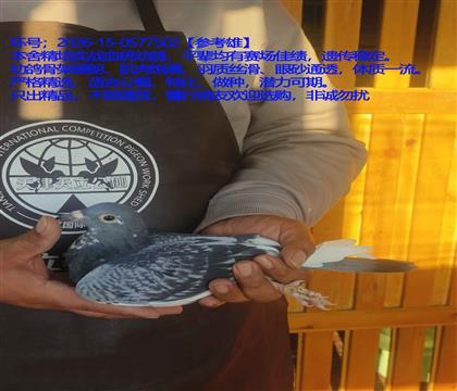 300-400-500-700-1000����