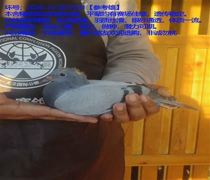 �ƹ󴨹�����ѡ