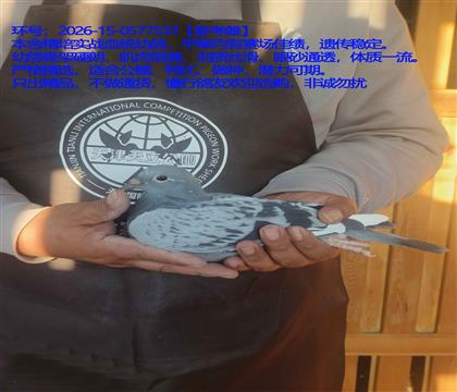 �������¹�����ѡ