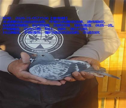 ����ֱ��