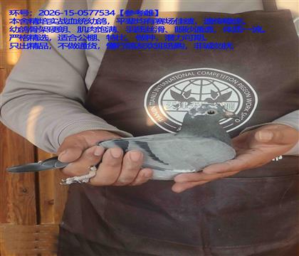 ��������ѡ