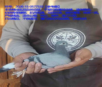 ������ٴ�