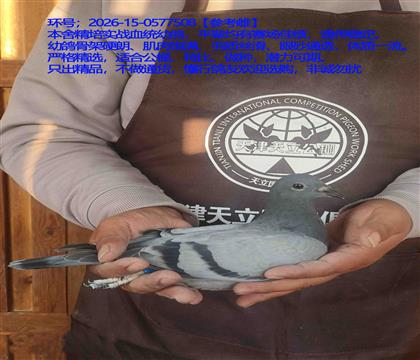 �ӱ�����ר��