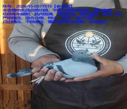 �����������ѡ