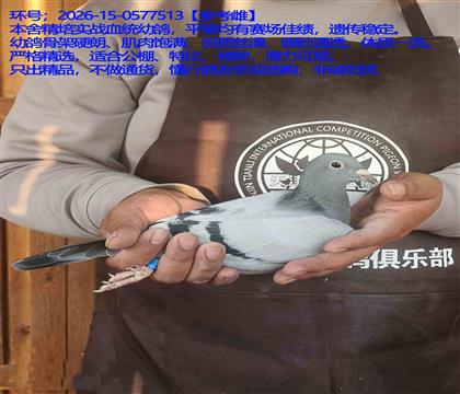 �ӱ���򶫱�����ѡ