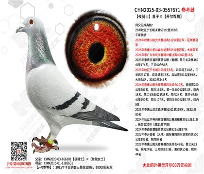 ҹ��ʿֱ�ӡ���������