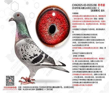 ����������ظ���43��������쫷�ֱŮ