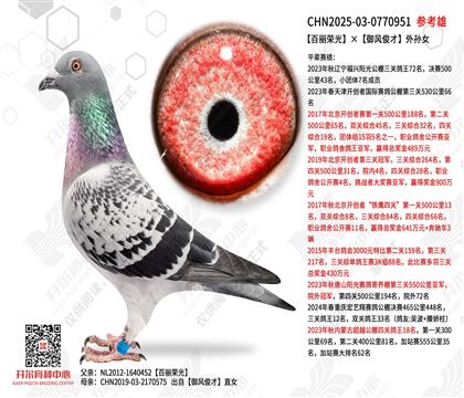 �����ٹ�����翡������Ů