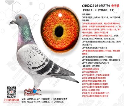 ������ˡ���������ֱŮ