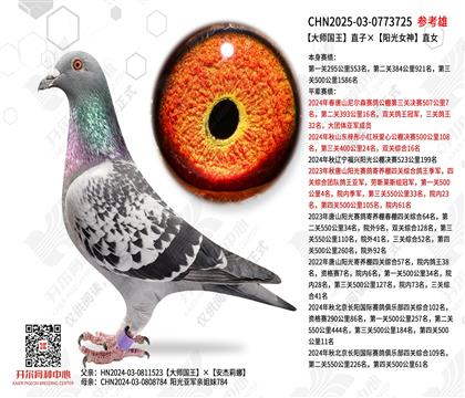 ��ʦ����ֱ�ӡ�����Ů��ֱŮ