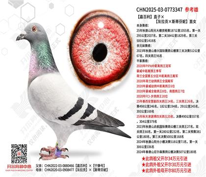 �ΰ���ֱ�ӡ�����������˹�ٷ��ݡ�ֱŮ