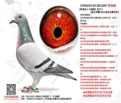 �����������÷¡��ֱ�ӡ���ɽ����550�����վ���ھ�