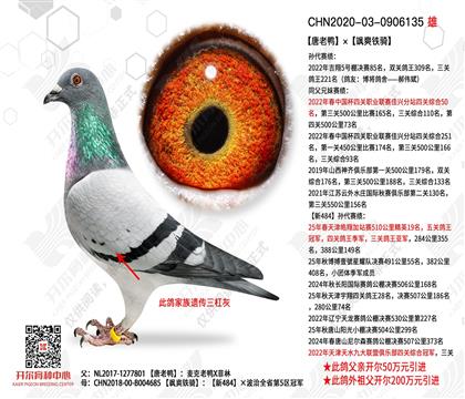 ����Ѽ���ˬ����