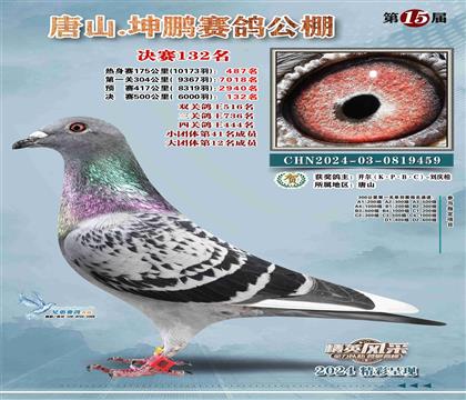 24����ӱ���ɽ��������132��